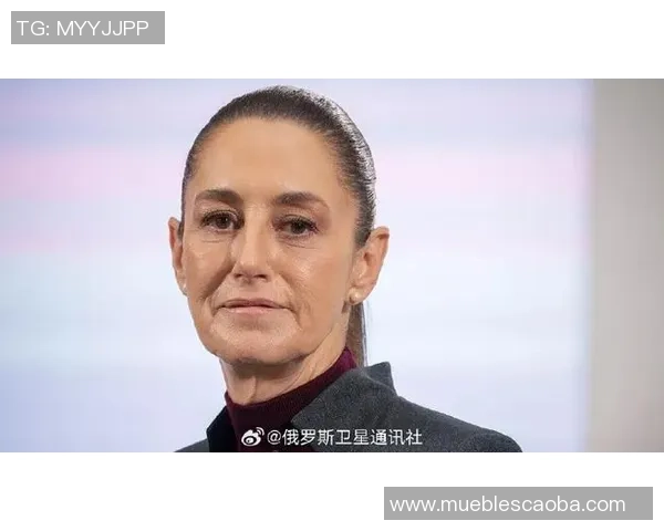 墨西哥总统强调打击贩毒不影响世界杯安全保障 墨西哥总统强调打击贩毒不影响世界杯安全保障