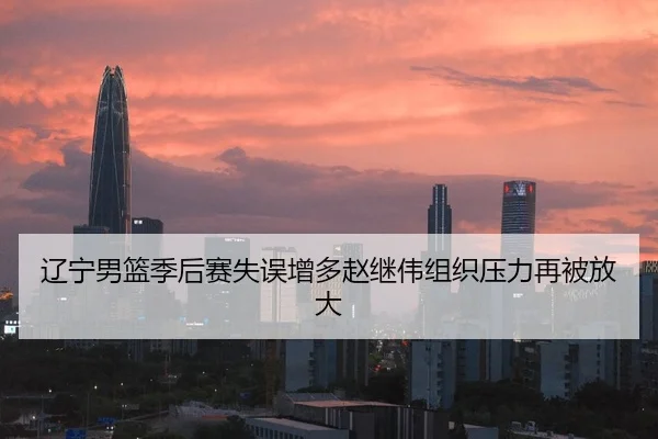 辽宁男篮季后赛失误增多赵继伟组织压力再被放大