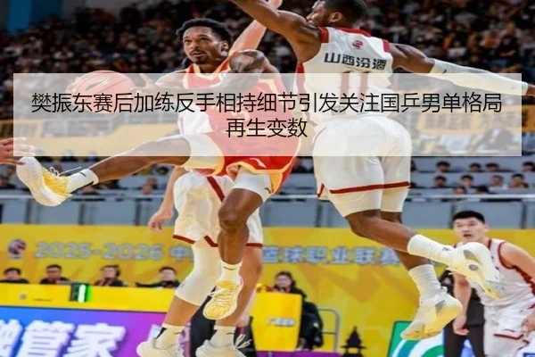 樊振东赛后加练反手相持细节引发关注国乒男单格局再生变数